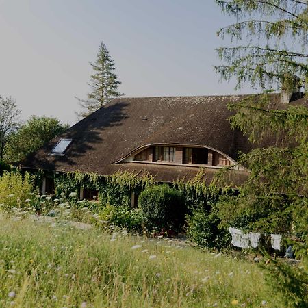 Domaine Foray Acomodação com café da manhã Villecien Exterior foto